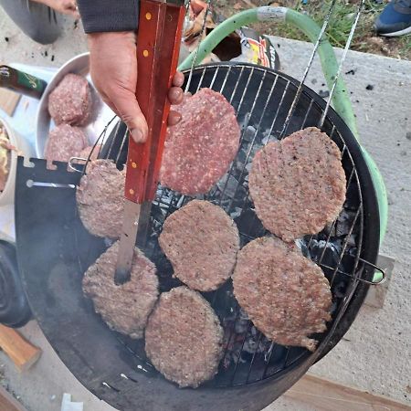Vule Bungalovi Žabljak 外观 照片